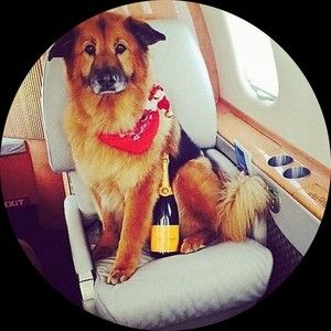 Meet your Posher, Mclean